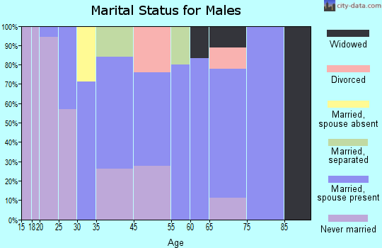 Brandon marital status for males