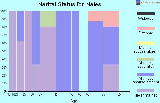 Brayton marital status for males