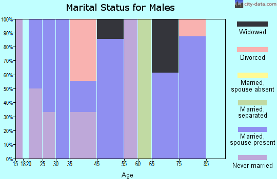 Bridgewater marital status for males