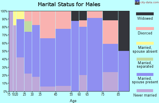 Brighton marital status for males
