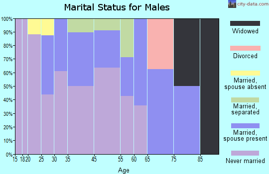 New Stuyahok marital status for males