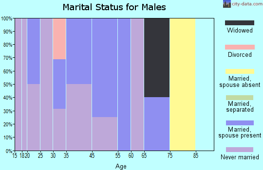 Nightmute marital status for males