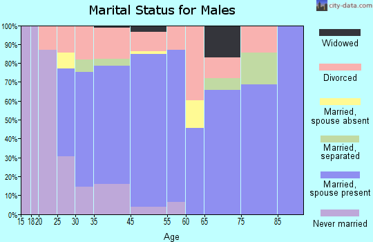 Nikiski marital status for males