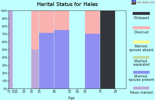 Chatsworth marital status for males