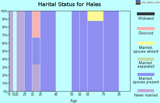 Chester marital status for males