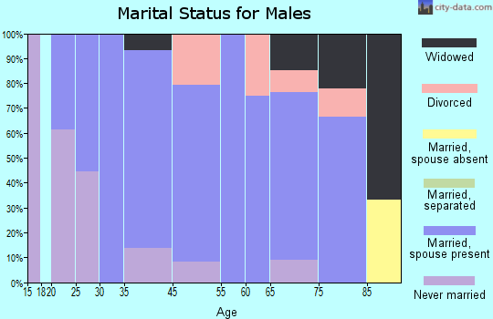 Churdan marital status for males