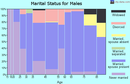 Coon Rapids marital status for males