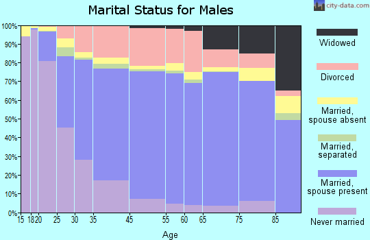 Council Bluffs marital status for males