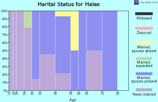 Noatak marital status for males