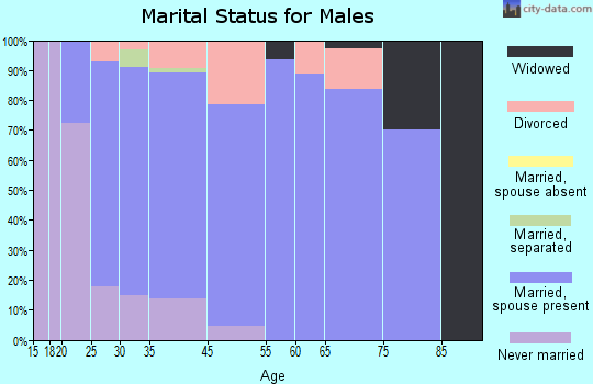 Dakota City marital status for males