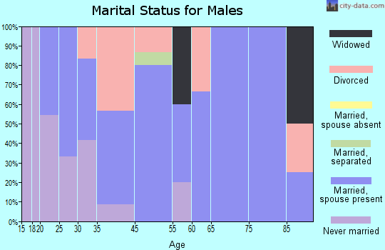 Davis City marital status for males