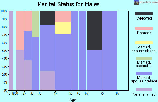 Decatur City marital status for males
