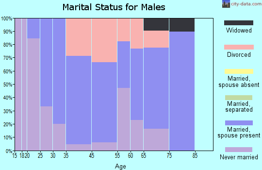 Delhi marital status for males