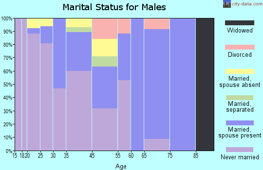 Noorvik marital status for males