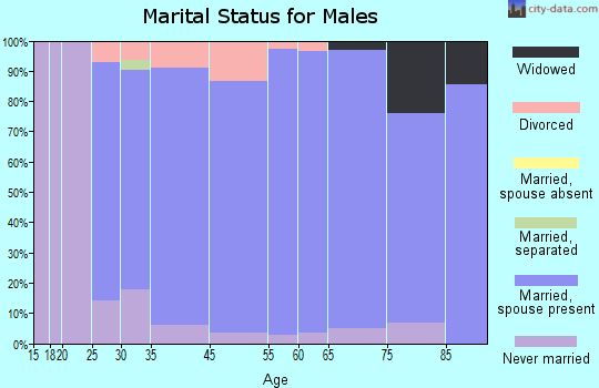 Denver marital status for males