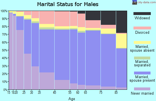 Des Moines marital status for males