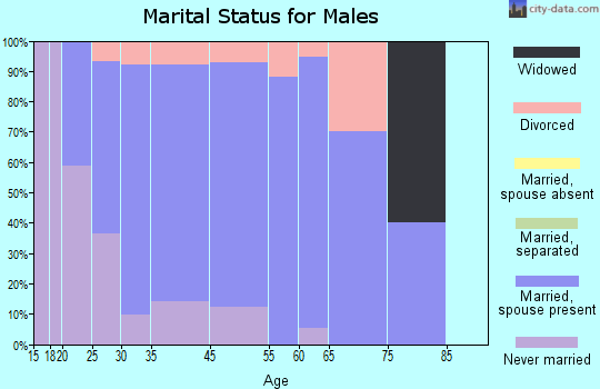 De Soto marital status for males