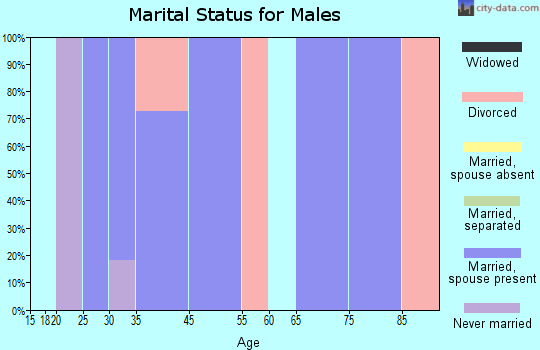 Drakesville marital status for males
