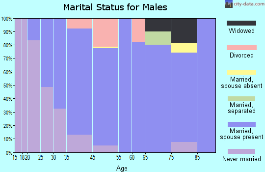 Elk Run Heights marital status for males