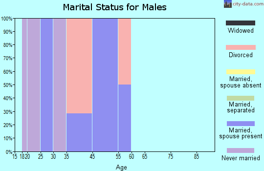 Ellston marital status for males