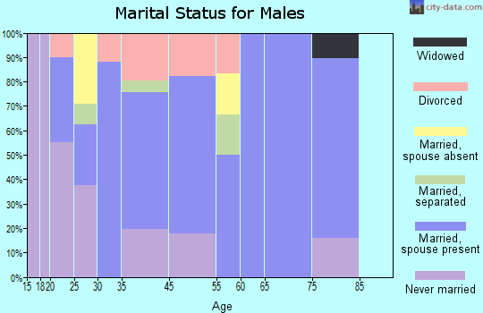 Ellsworth marital status for males