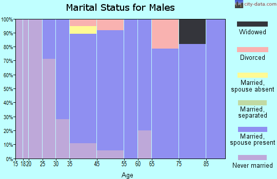 Emerson marital status for males