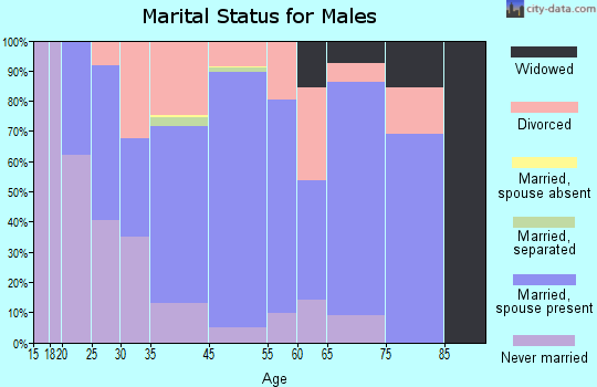 Evansdale marital status for males