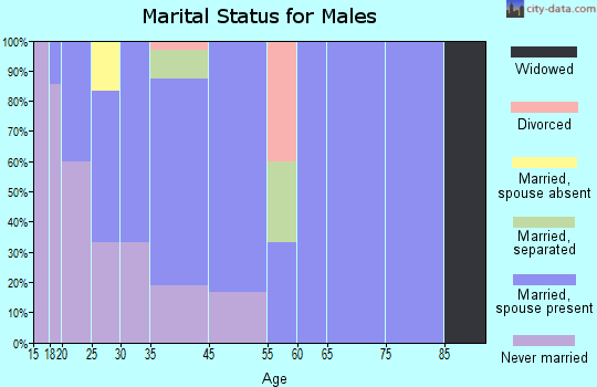 Nunapitchuk marital status for males