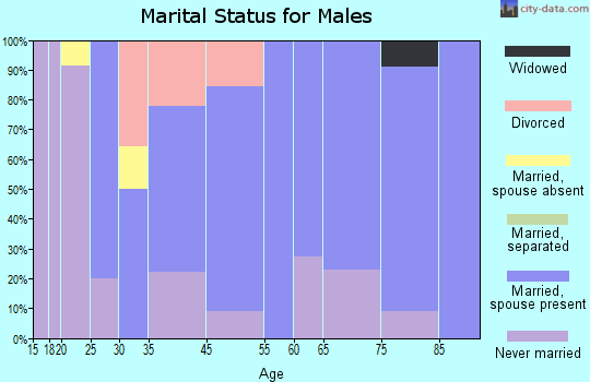 Gilmore City marital status for males