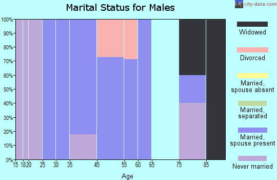 Halbur marital status for males