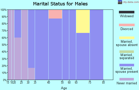 Hanlontown marital status for males