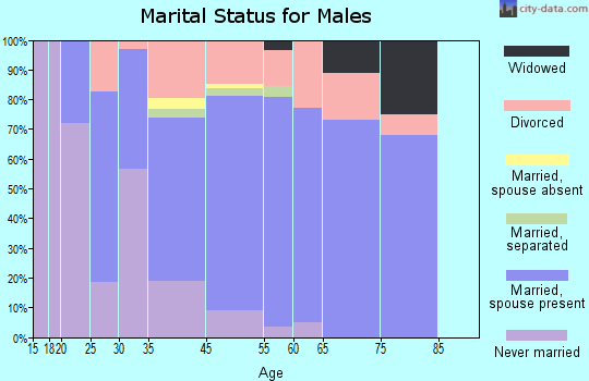 Petersburg marital status for males