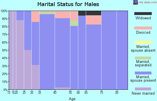 Hudson marital status for males