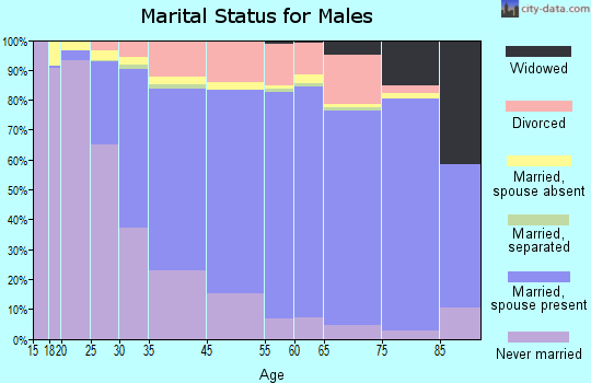 Iowa City marital status for males