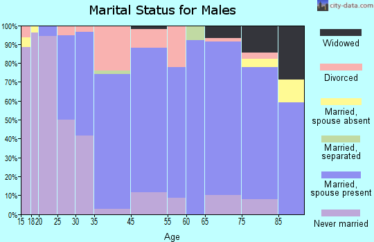 Iowa Falls marital status for males