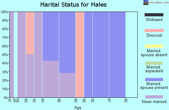 Jackson Junction marital status for males