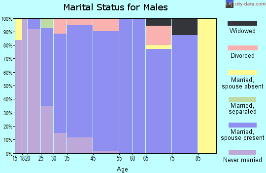 Johnston marital status for males