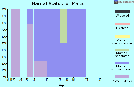 Pitkas Point marital status for males