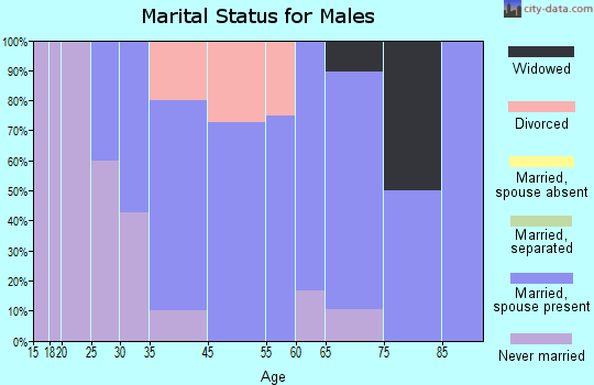 Kensett marital status for males