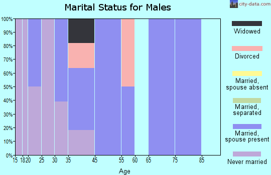Kirkville marital status for males