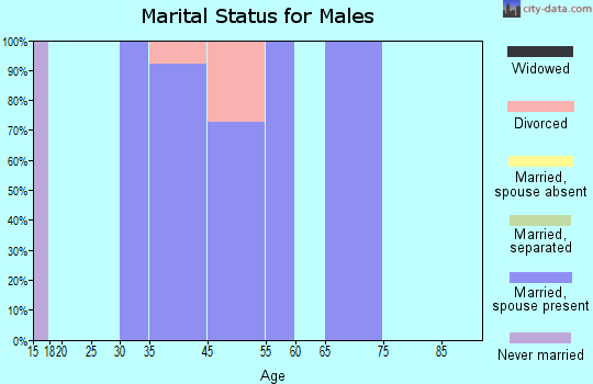 Pleasant Valley marital status for males