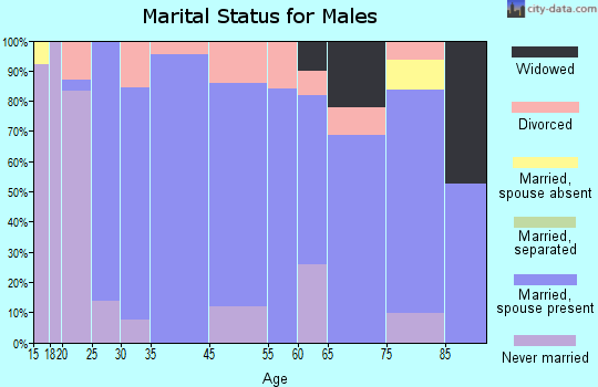 Lake City marital status for males