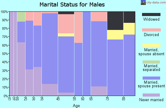 Lake Mills marital status for males