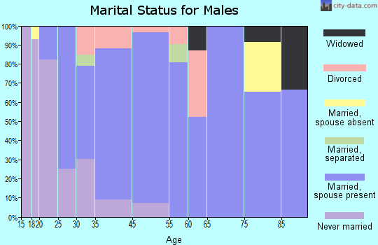 Lake Park marital status for males