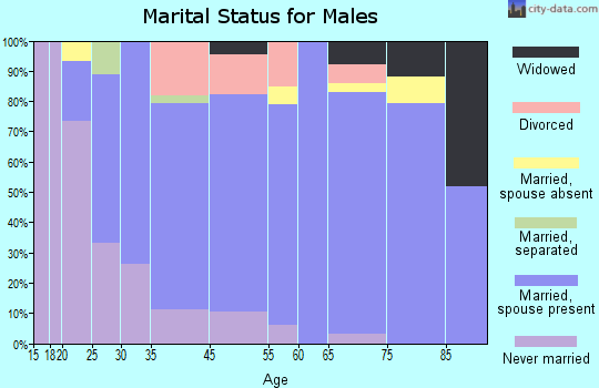 Lake View marital status for males