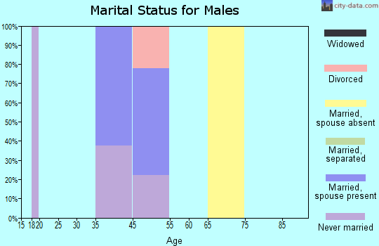 Point Baker marital status for males