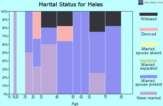 Lanesboro marital status for males
