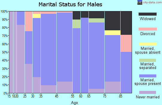 La Porte City marital status for males