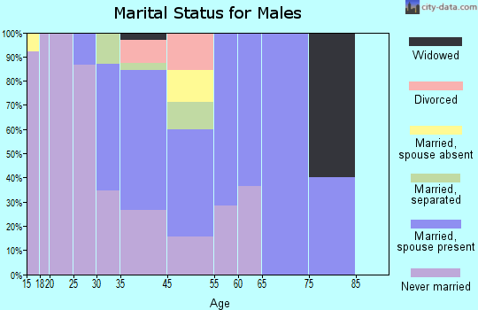 Point Hope marital status for males