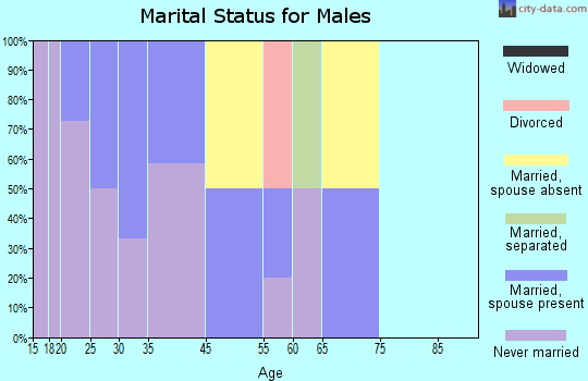 Point Lay marital status for males